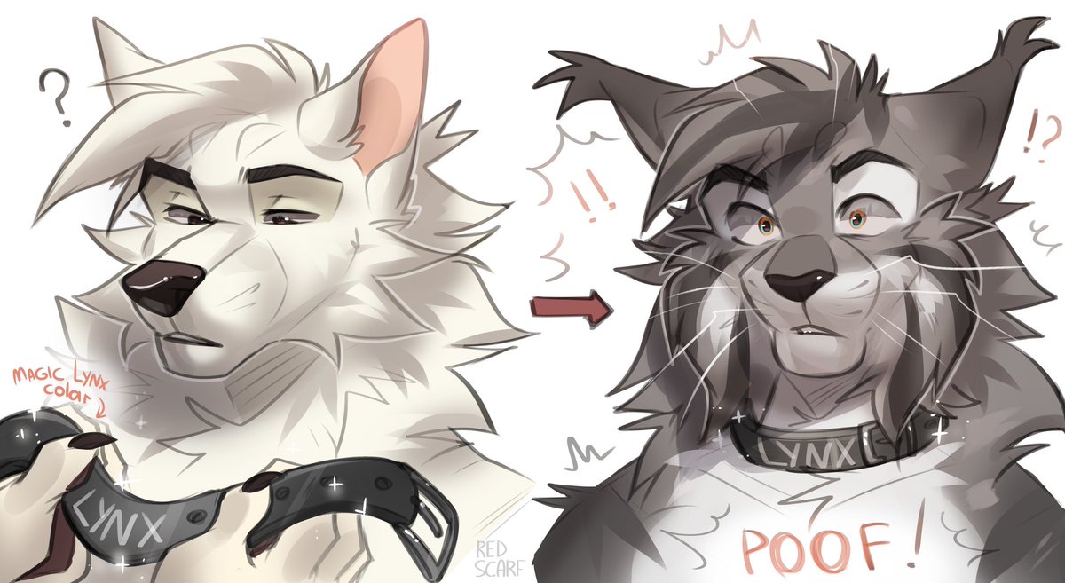 Red Scarf tweet media