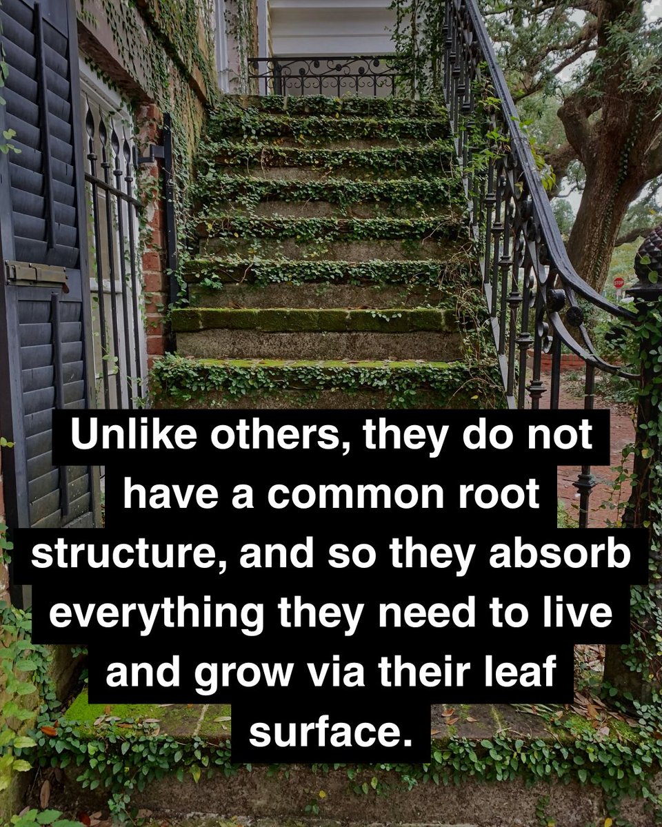 Earth Hero tweet media