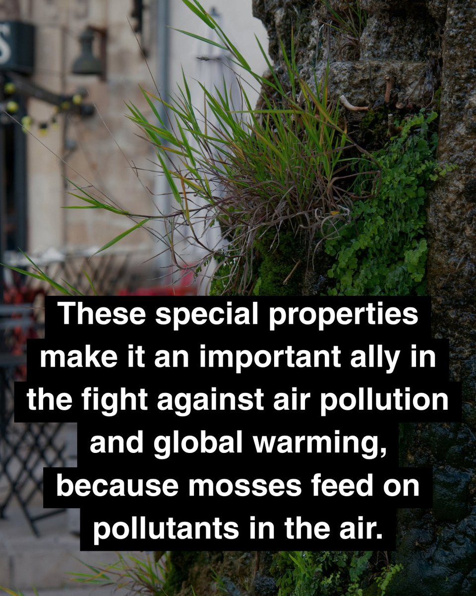 Earth Hero tweet media