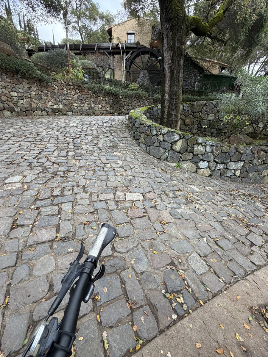 thakurtarun's tweet image. back at my happy doings!!

#biking #mountains