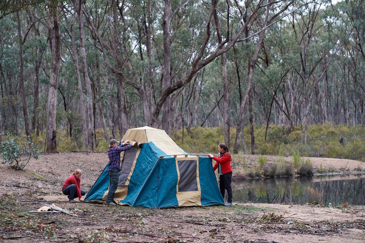 FFMVic's tweet photo. Pack the car (and the dog!) and head to this secluded bush campground tucked beneath towering box-ironbark trees 🏕️

With no fees, no bookings, and plenty of space, #Kimbolton State Forest is perfect for families looking to unwind.

Explore the forest’s rich gold-mining history, spot rare birds like the swift parrot and regent honeyeater, and enjoy a peaceful picnic with picnic tables, wood-fired BBQs, and easy gravel parking.

Just steps away, Lake Eppalock invites you to fish, kayak, swim, or wander along its shores 🛶 

For more information visit, https://t.co/7AdEWXty6J