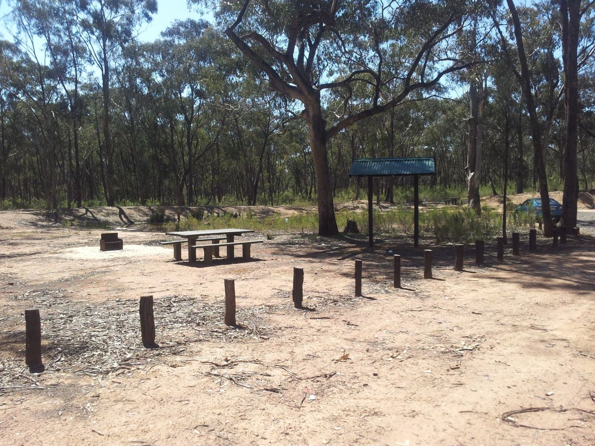 FFMVic's tweet photo. Pack the car (and the dog!) and head to this secluded bush campground tucked beneath towering box-ironbark trees 🏕️

With no fees, no bookings, and plenty of space, #Kimbolton State Forest is perfect for families looking to unwind.

Explore the forest’s rich gold-mining history, spot rare birds like the swift parrot and regent honeyeater, and enjoy a peaceful picnic with picnic tables, wood-fired BBQs, and easy gravel parking.

Just steps away, Lake Eppalock invites you to fish, kayak, swim, or wander along its shores 🛶 

For more information visit, https://t.co/7AdEWXty6J