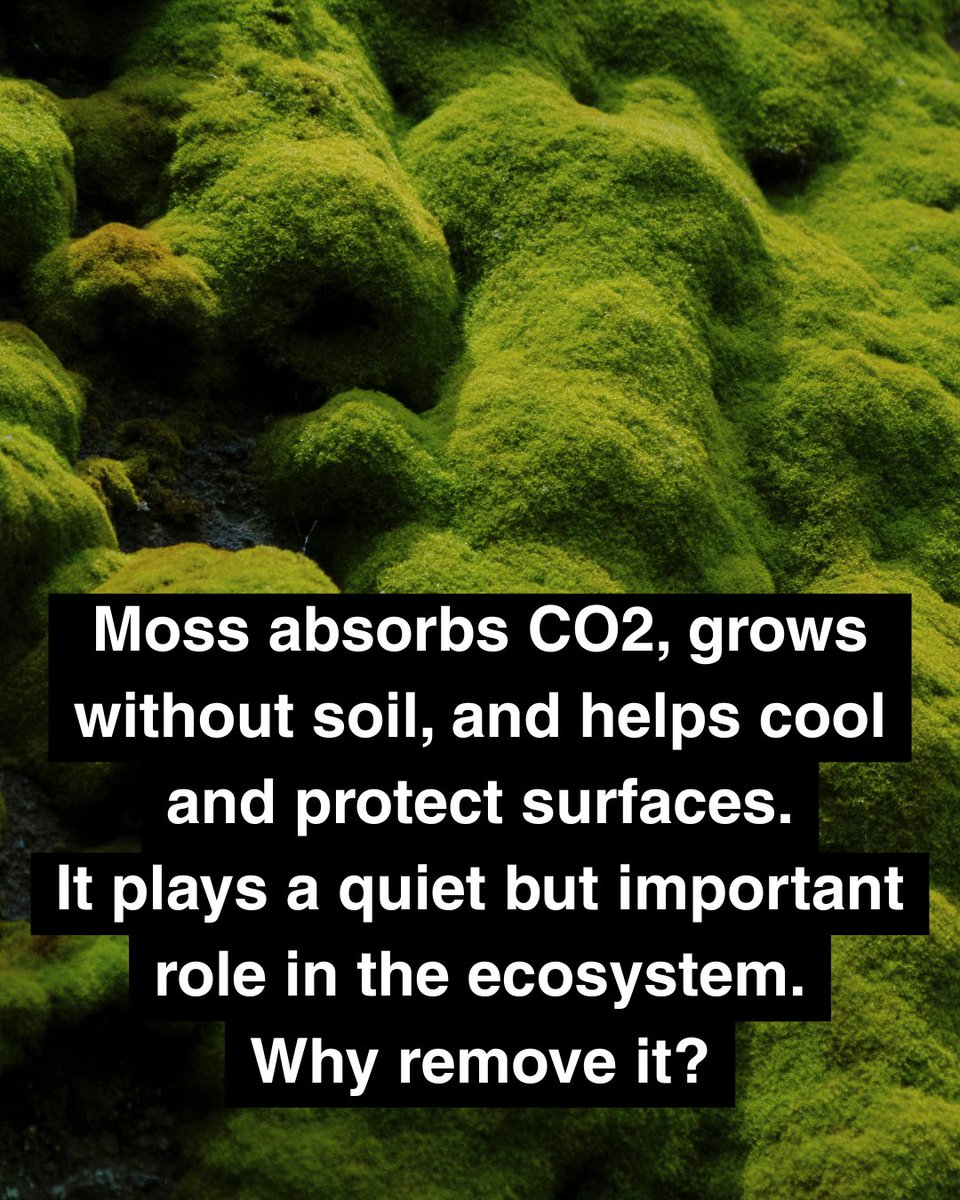 Earth Hero tweet media