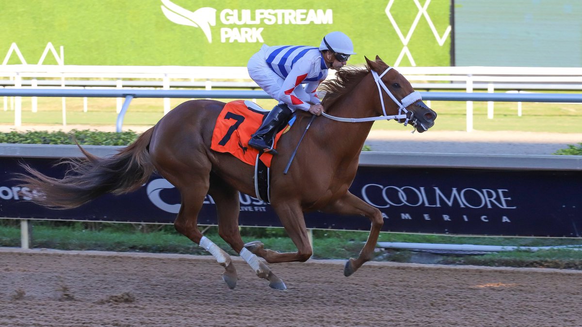 Gulfstream Park tweet media