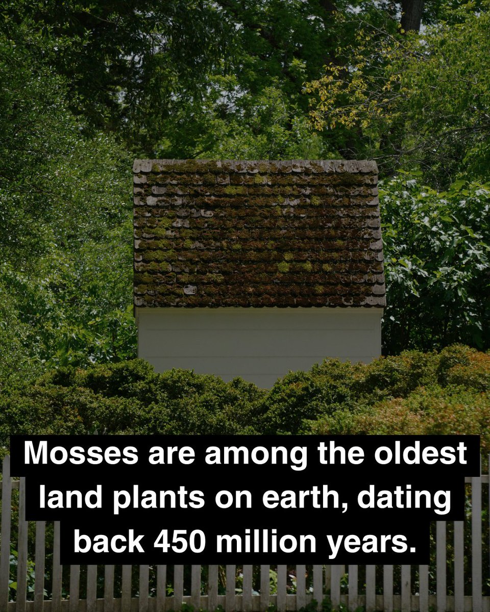 Earth Hero tweet media