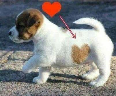 34rths's tweet image. I walk with love