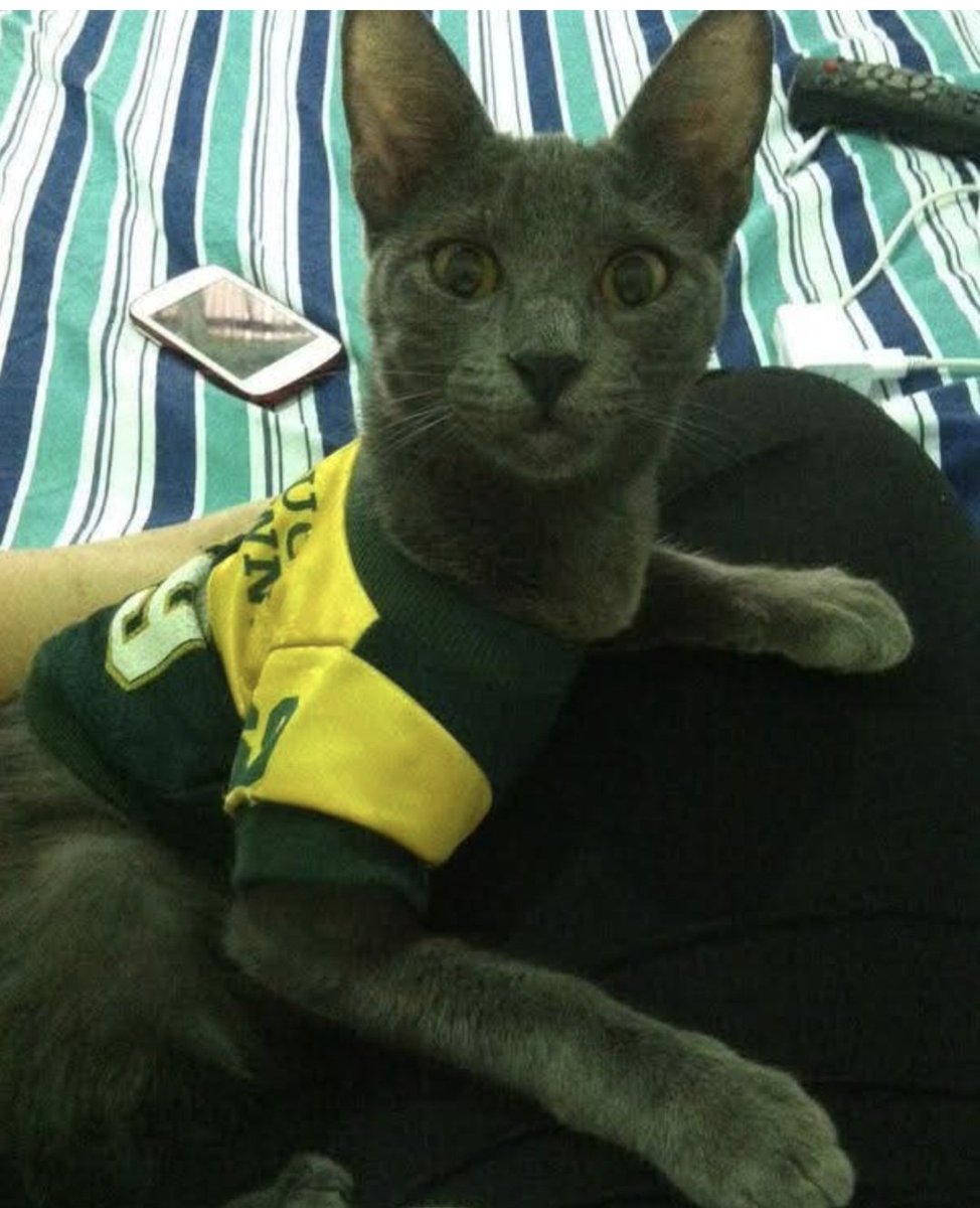 #NFLEnTelevisa super fan