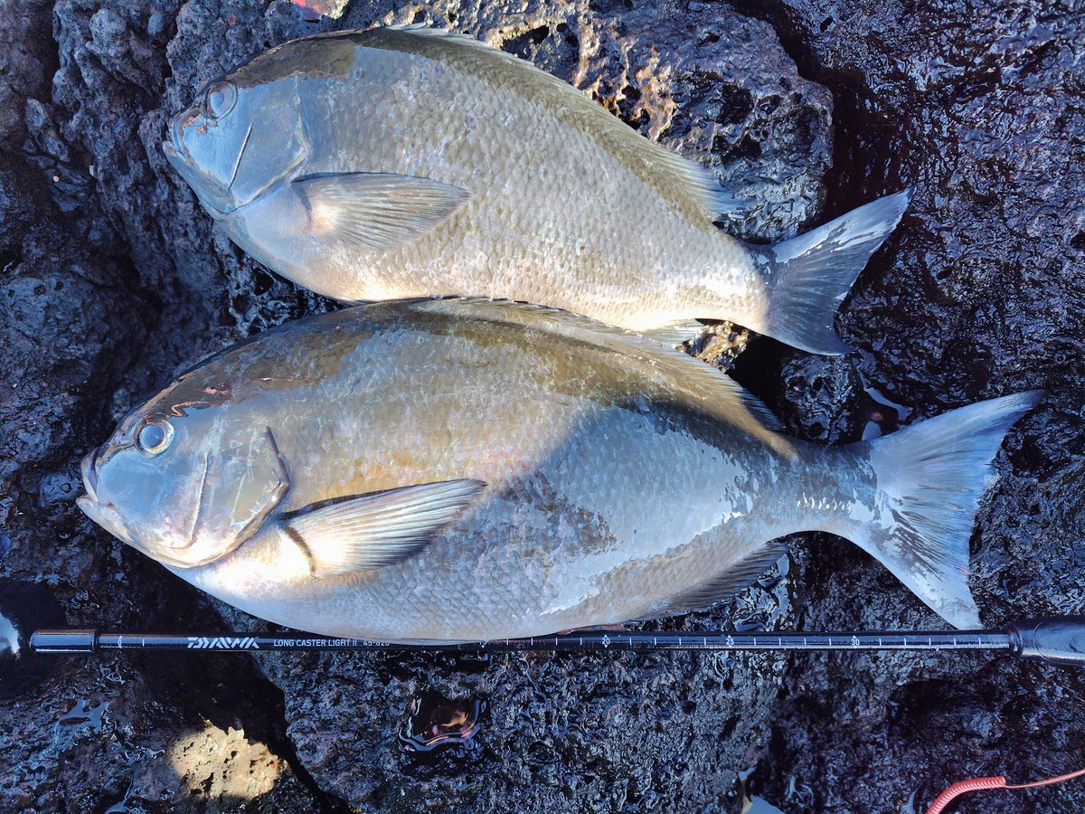 ひろし (@hiroshi17921) / Posts / X