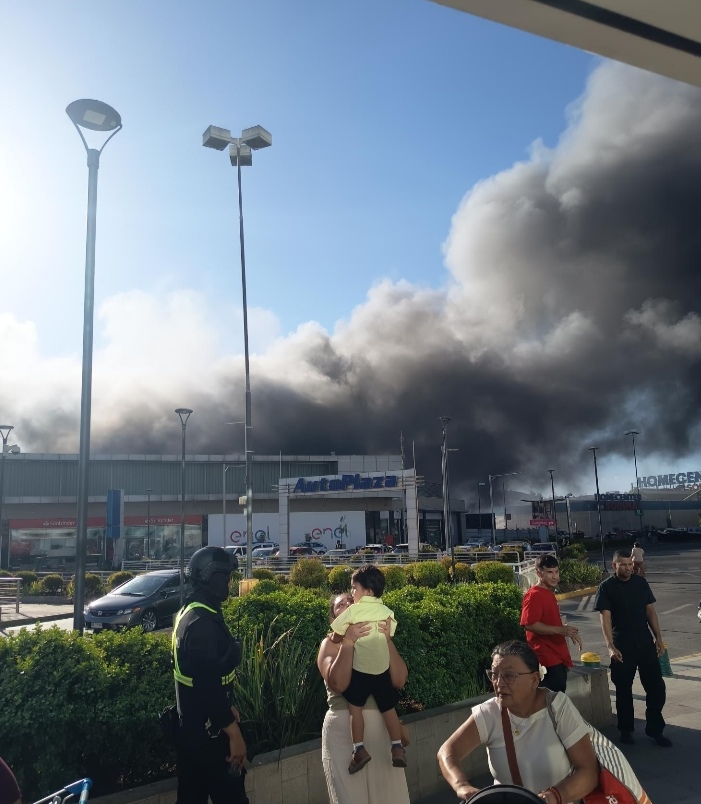 Alejandro Alegria 🌴 tweet media