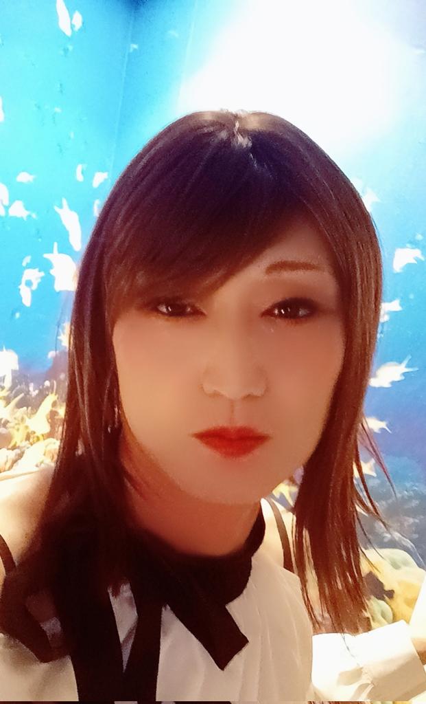 angeloscross's tweet photo. 今年も皆さんありがとう❤️

今日がラスト女の子👧

いっぱいセックスしよ(*´∀`)♪
したい男性いないかな？ https://t.co/2TXmxLa3Ew