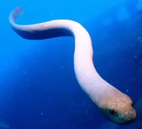 RabbitBounce's tweet image. this picture embodies a peaceful spirit