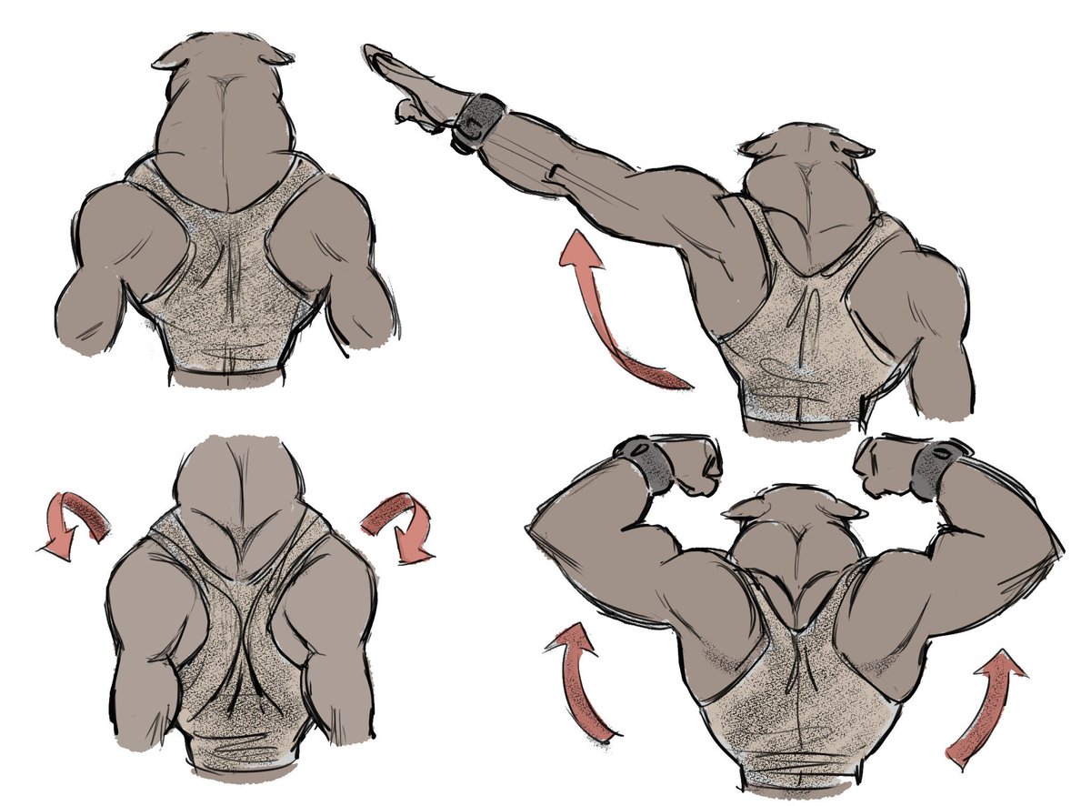 dailykittykat's tweet image. 