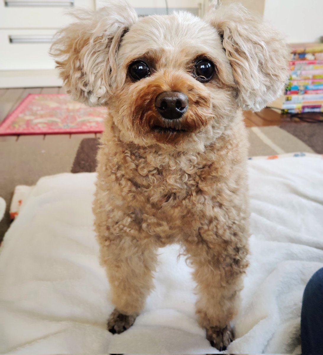 Nao (@Nao23843581) / Posts / X