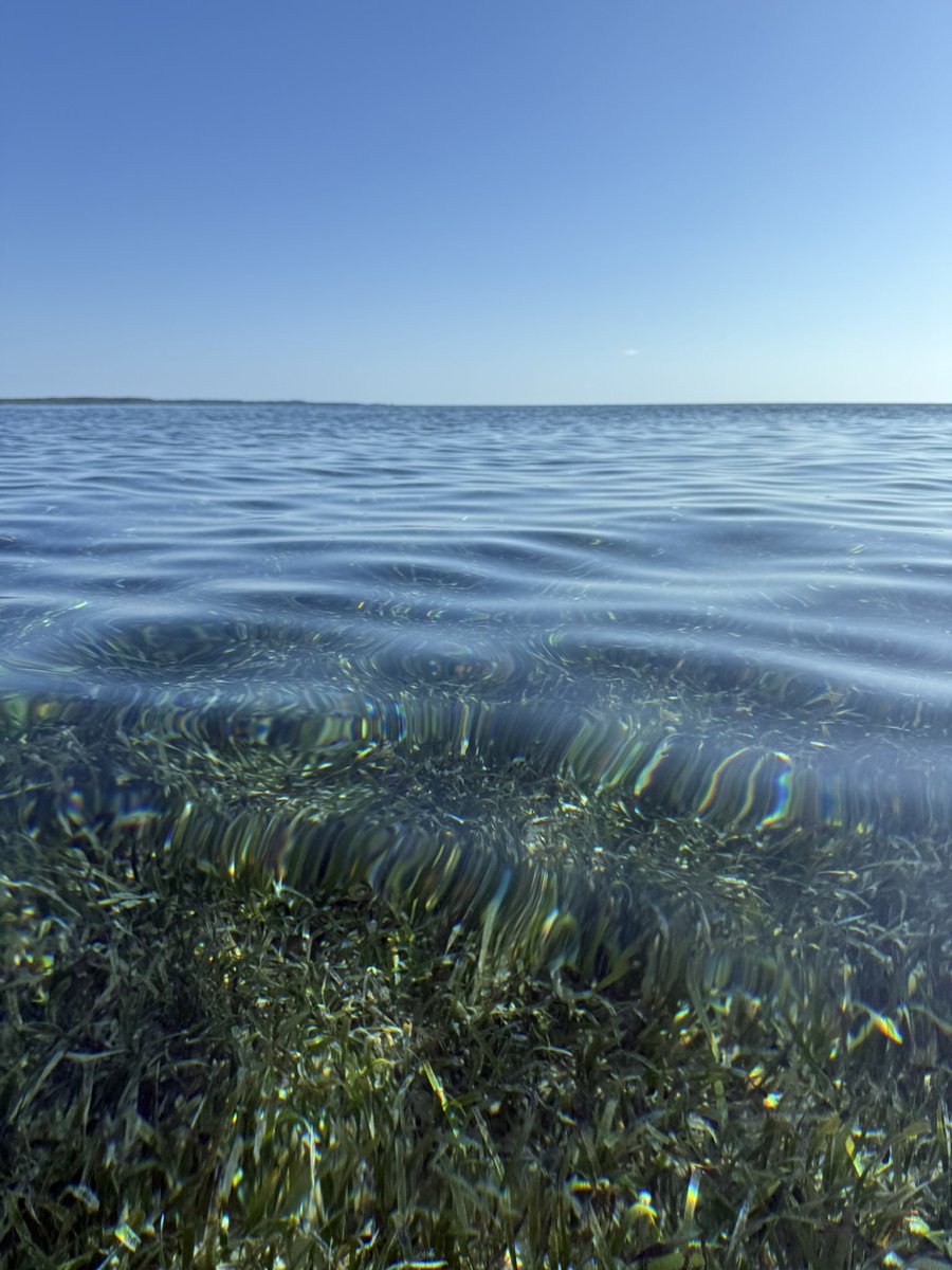 RustyShack9969's tweet image. This white boy is living it up in the Bahamas. I can see why so many people left England to be pirates. #WANGHAF #APirateLooksAt40 #PiratesoftheCaribbean