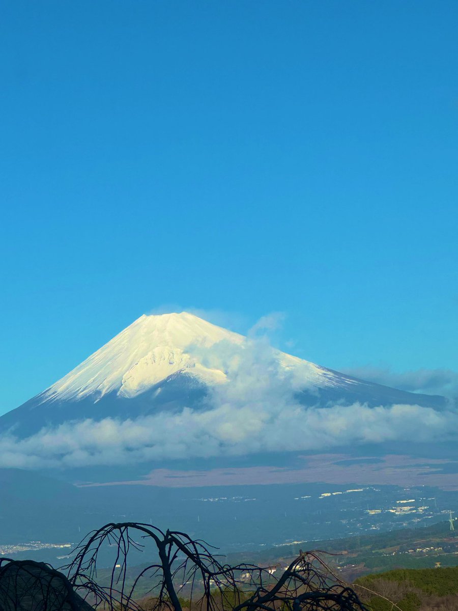 tochinoshin's tweet photo. #shizuoka #Mountfuji #Fuji
#tochinoshin https://t.co/Pw9dIzlDjv