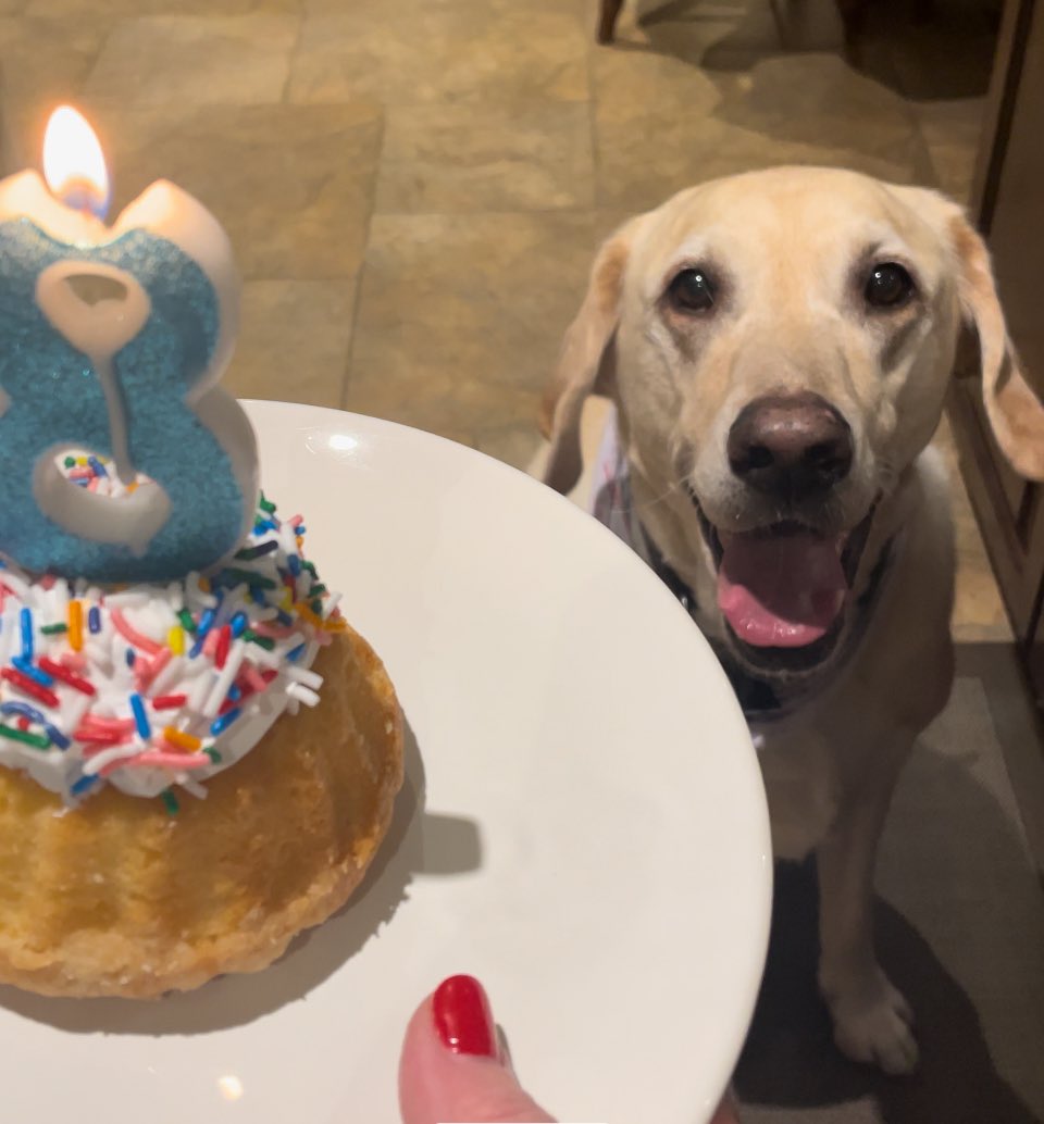 Happy 8th Birthday to my bestest buddy today🥳 getting some old now Loonie Toons💛 #timeflies 🐾