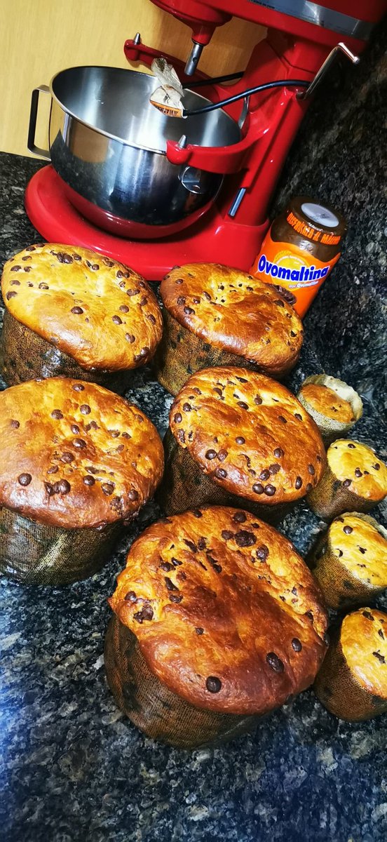 angelmata's tweet photo. Así quedaron nuestros Panettones para la cena de Navidad 🎄💚😍 https://t.co/bWUlpBXa7s