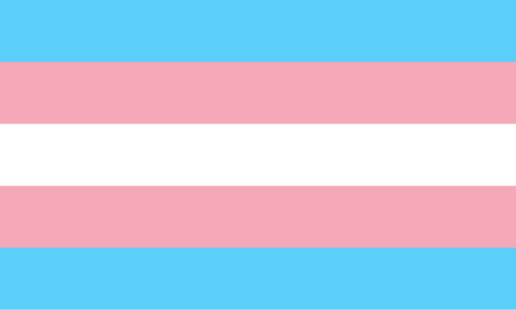 favisprotrans's tweet photo. Idele Quincy from Danganronpa Trip To Monochrome is NOT transphobic, meaning she supports trans rights!!! https://t.co/kPLdNNEqdH