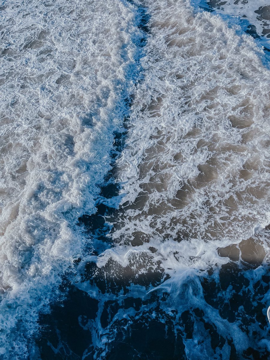 moni ⋆˙⟡♡ tweet media