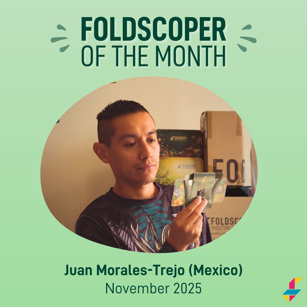 Foldscope tweet media