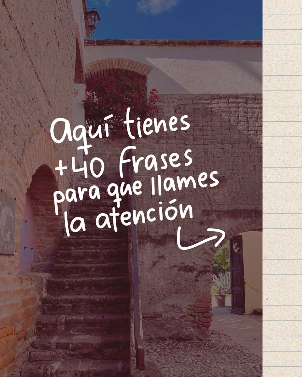 Aqui tienes +40 frases para que llames la atención. 🧵