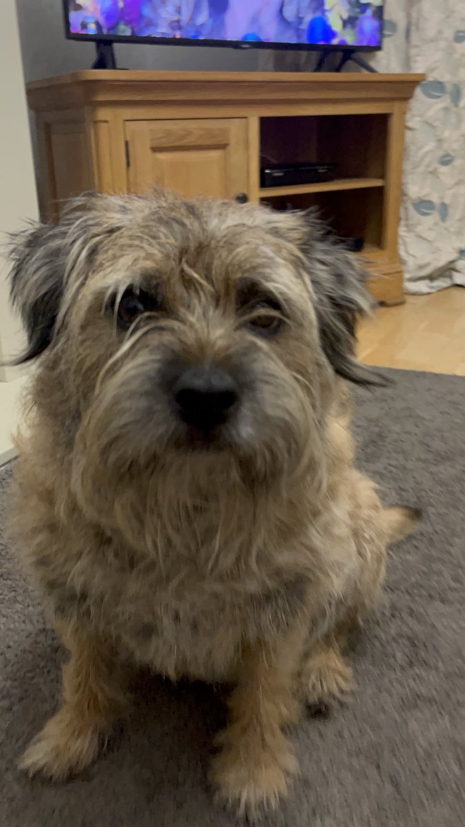 Lee Armstrong 𓅪 tweet media