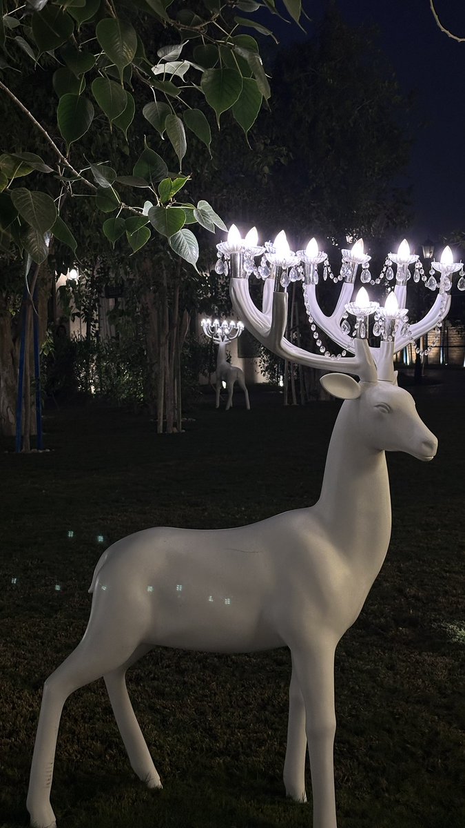 sofya2021's tweet image. هذي الرياض اللي جمالها مايخلص .. ❄️🧣🦌🧸

#ذا_جروفز