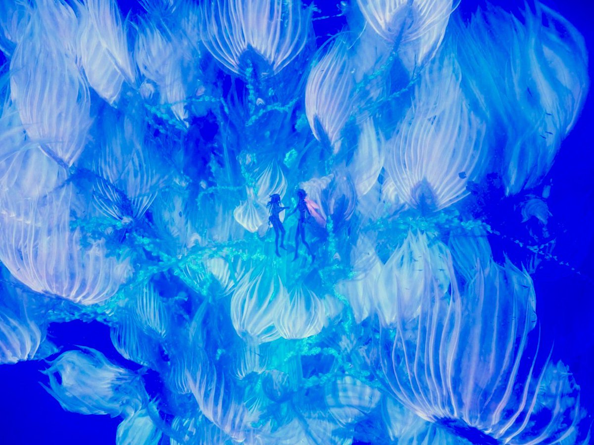 avatar3news's tweet image. Retweet this if you want to see the extended cut of AVATAR: FIRE &amp;amp; ASH.