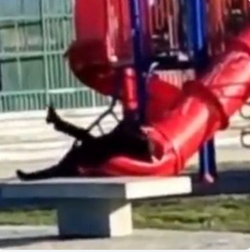 Grandes hitos del gobierno de Boric.  Yo empiezo