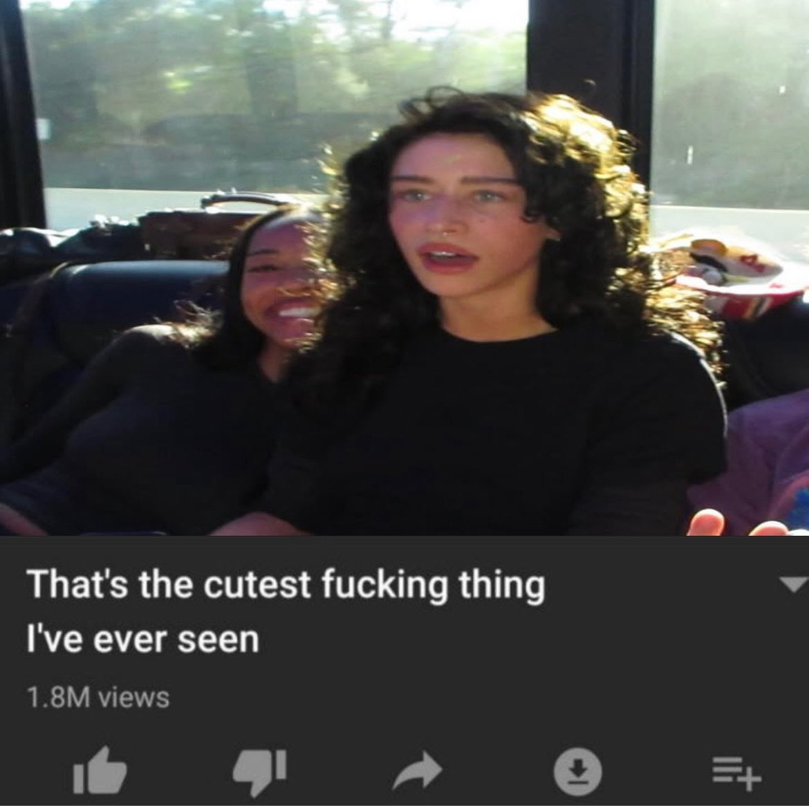 bugzbees's tweet image. 