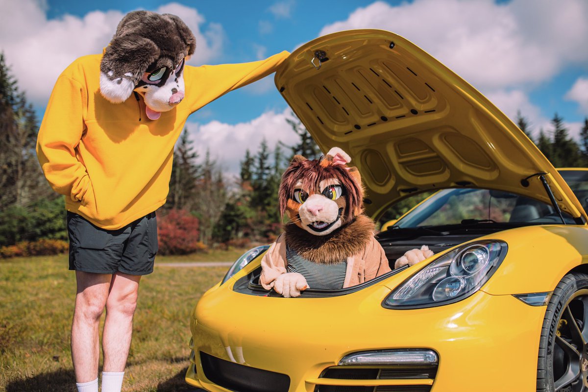 Hi I’m Kishy!

I’m a kitty (sometimes a bird, formerly a hyena) from NC! Content here will mostly be printmaking, fursuit making, wildlife rehab (under all state/federal permits), and adventures w friends!

passionate about all things birds, native plants, &amp; animal rights