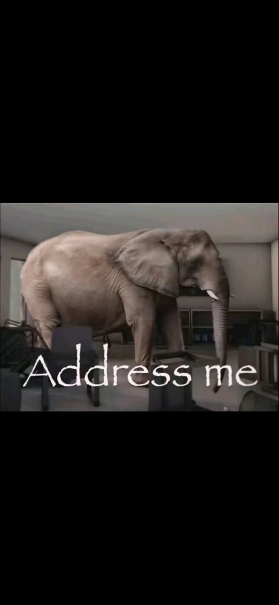 will schneckloth (@wschneckloth21) on Twitter photo 