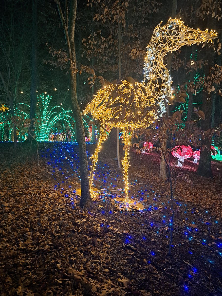 dsutton24's tweet image. One if the warmer nights for this...