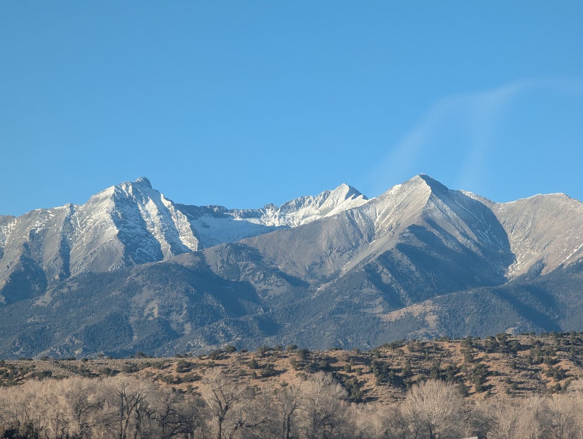 Coach Levi Gallas tweet media