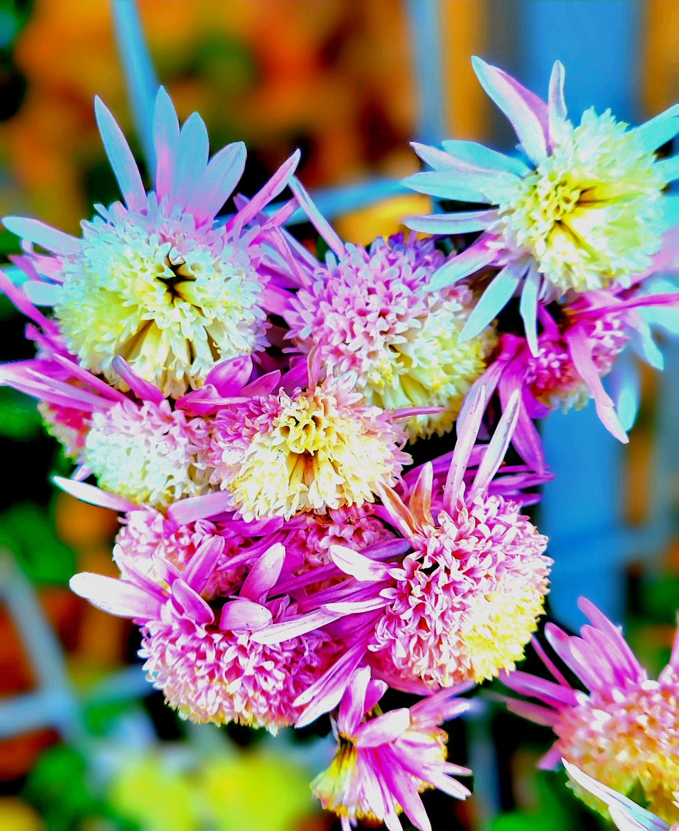 ちゅん (@aebBN6iwx957557) / Posts / X