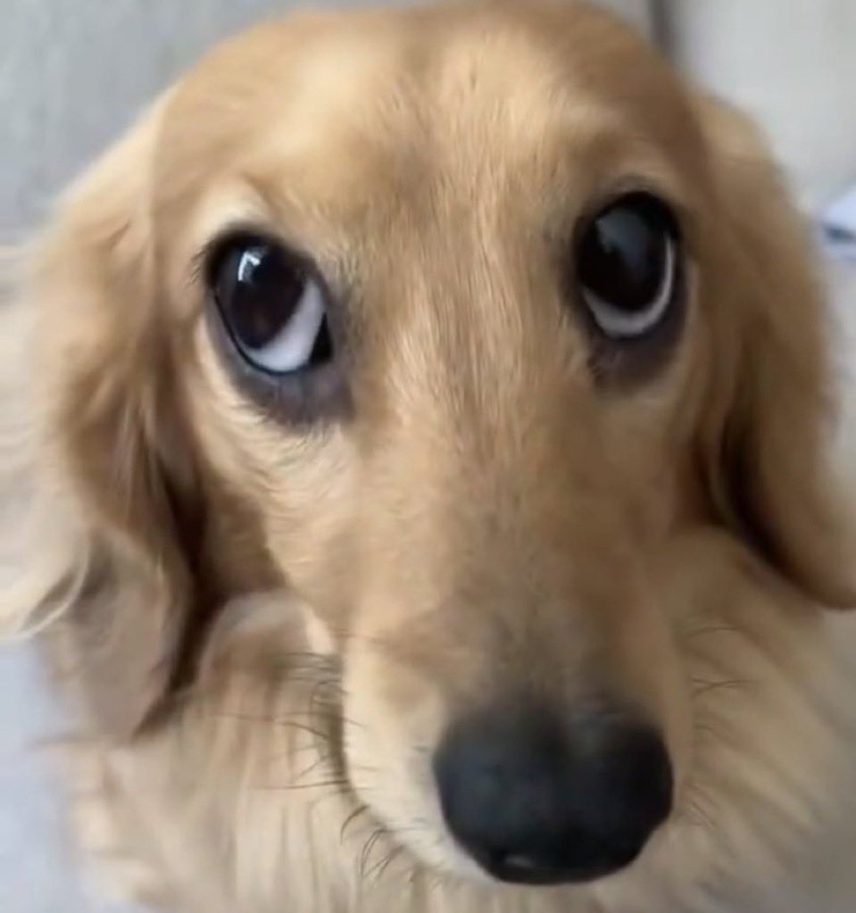 mafyfy25's tweet image. Minha vida ficou mais leve depois que aceitei que não preciso ser boa em tudo (não sou boa em nada) e nem preciso agradar a todos (não agrado ninguém)