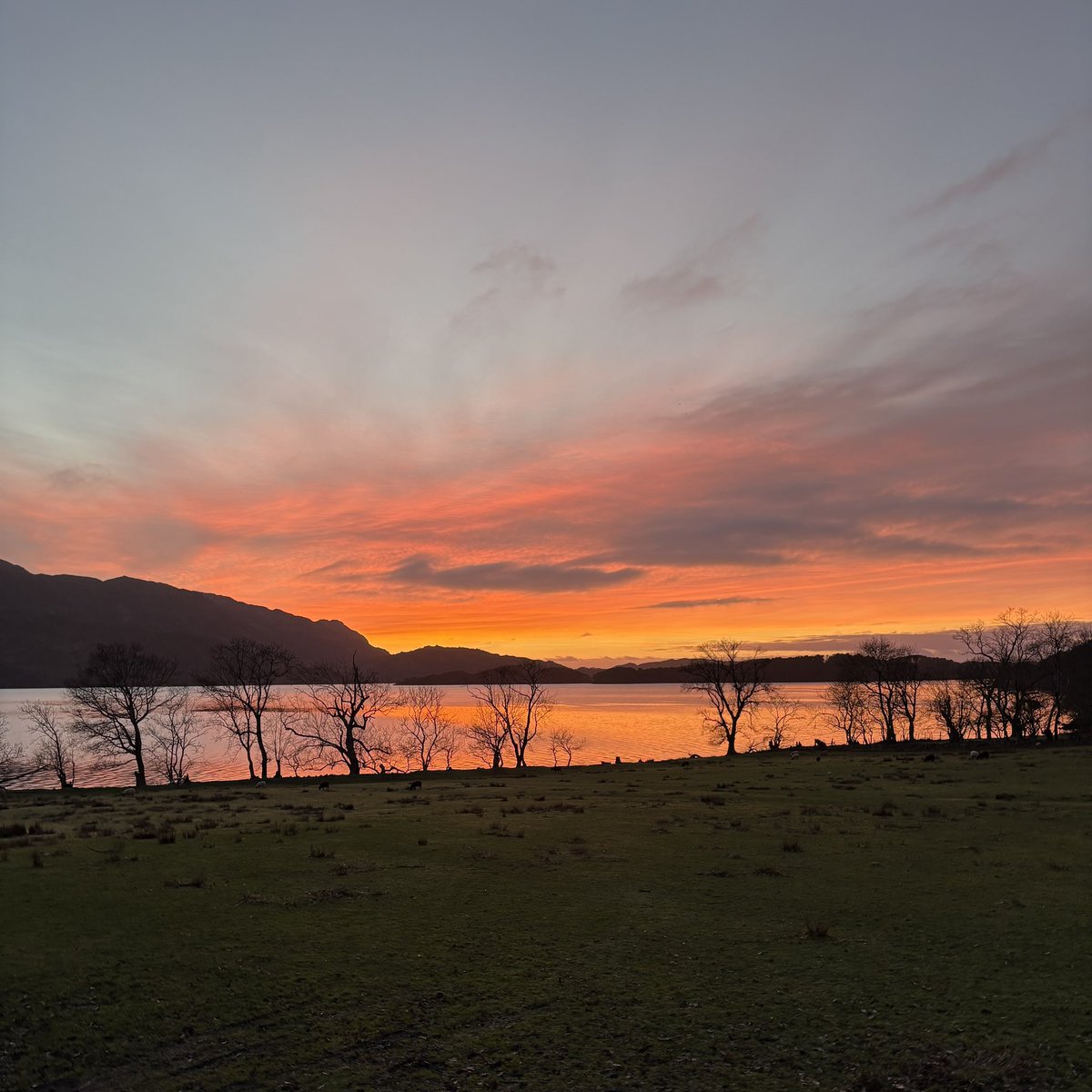 Keith Young tweet media