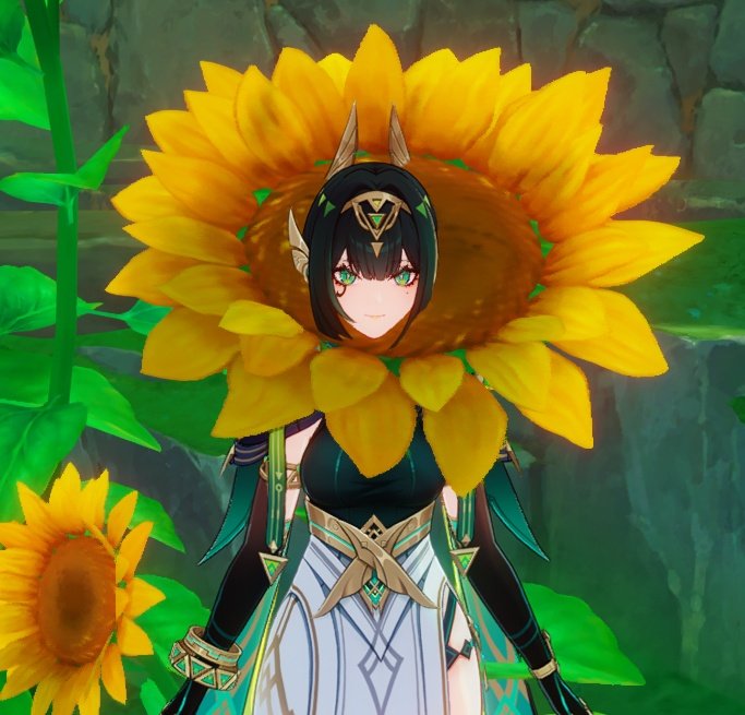 Silly n pretty sunflower