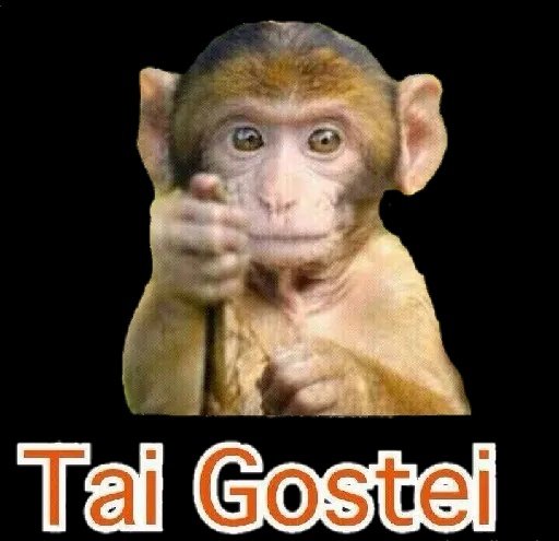 Alek VScodo (@alekjavilson) on Twitter photo 