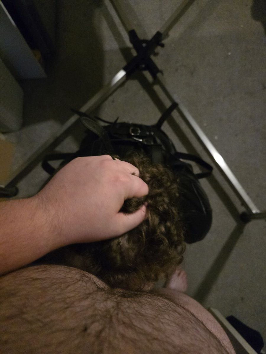 🏳️‍⚧️ Pup Scout 🏳️‍⚧️ tweet media