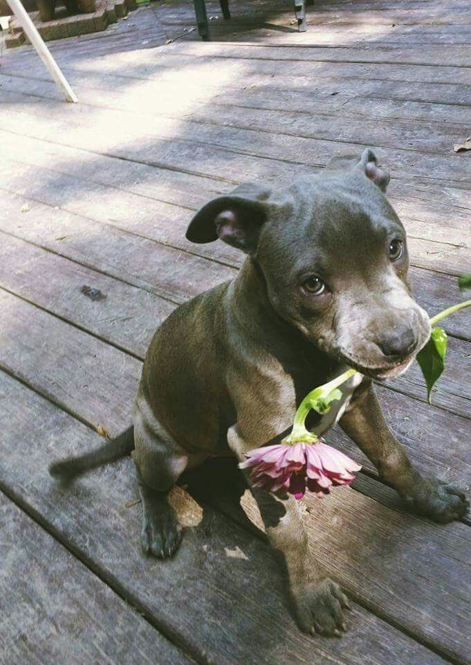 itimaliasof's tweet image. 