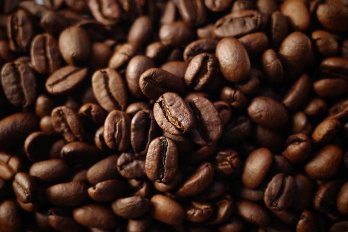 wp0821pt's tweet photo. #goodmorningcoffee 

モカマタリ美味しい……
口当たりはスッキリかと思えば、喉越しと同時に感じる甘めの果実感
これは他にはない https://t.co/gfrXX2sWdO