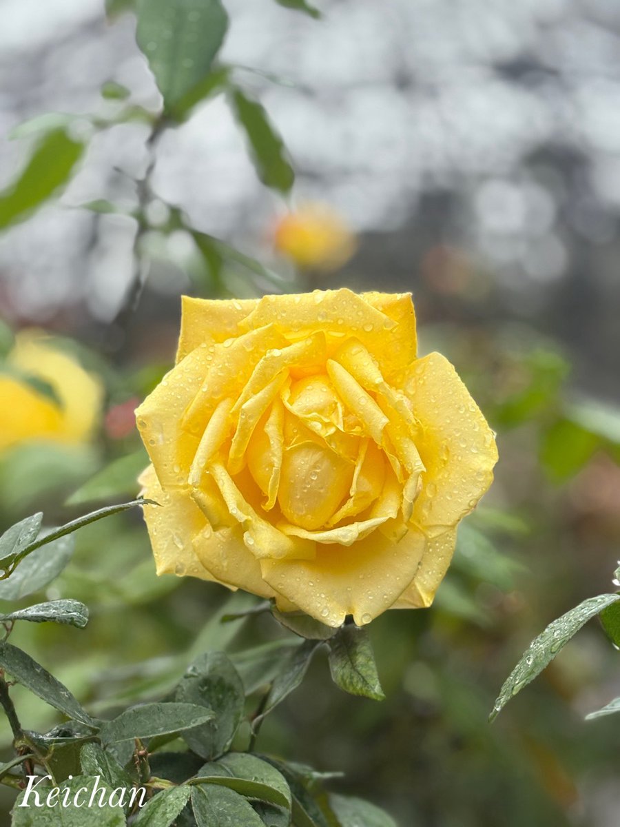 けいちゃん (@k1222_keichan) / Posts / X