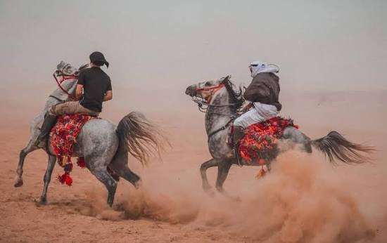 The tribes of the Negev and Sinai ride freely as their ancient Arabian ancestors did, with our horses being the purest in the world.