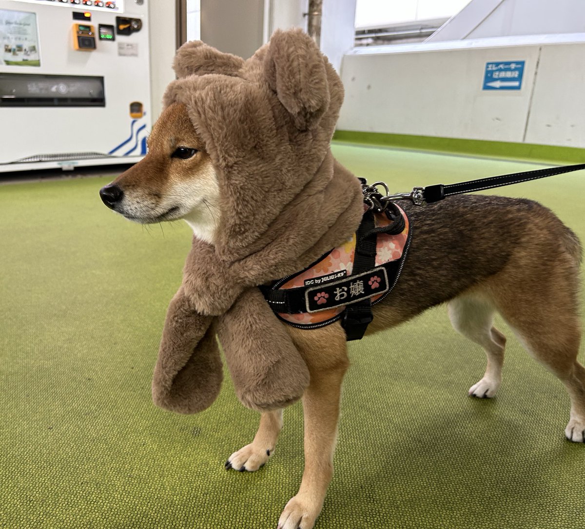 yokota4839 (@yokota4839) / Posts / X