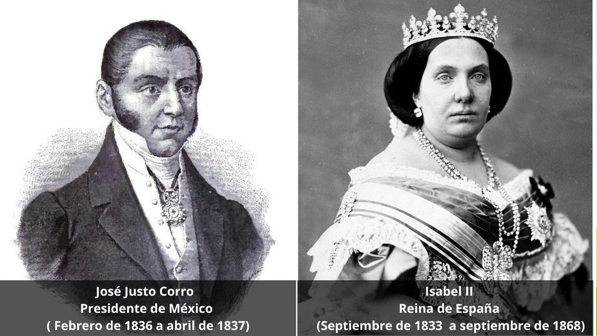 Patricia Galeana tweet media