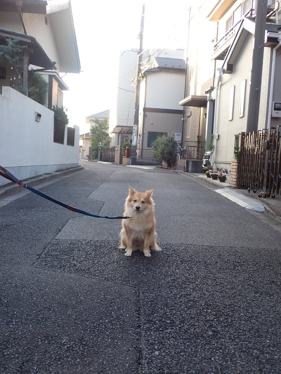 ホシちれ (@rei_svt) / Posts / X