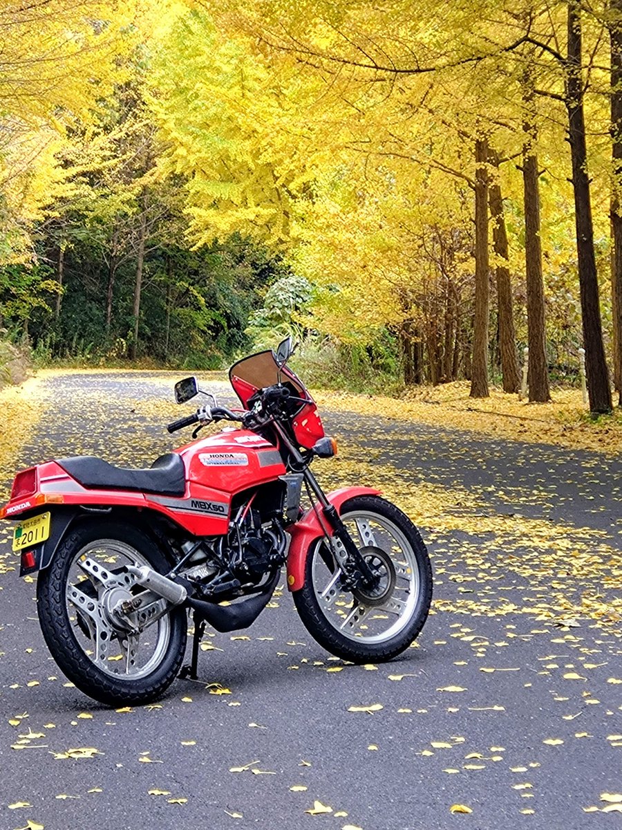 親方。ZX 4RR だっぺ‼️ (@CBR400RRCB400) / Posts / X