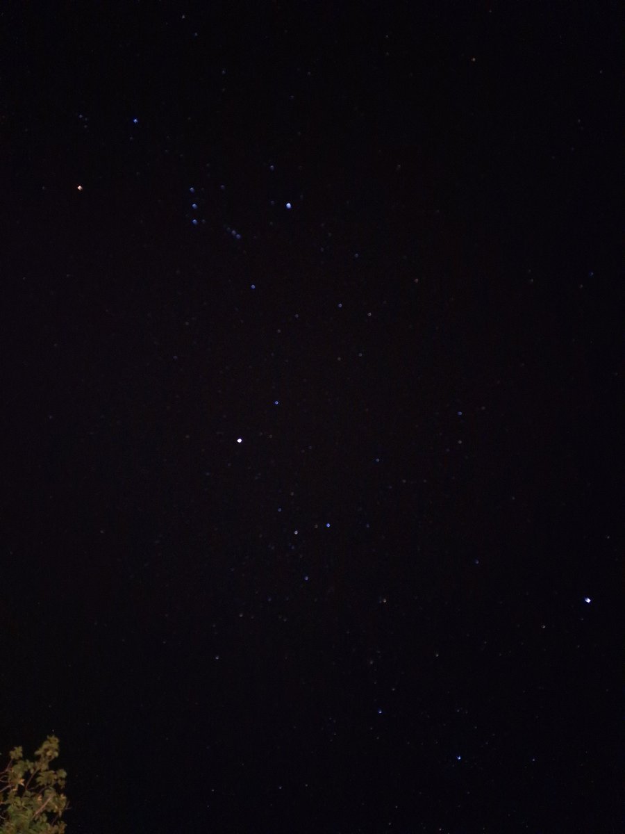 despyzi's tweet photo. @galerolero @arcticritics essa tirei no natal na minha vó, eu uso a câmera pro pra isso (tenho um Samsung m54 mas já fiz isso no Xiaomi) https://t.co/CKxSUqsKEv