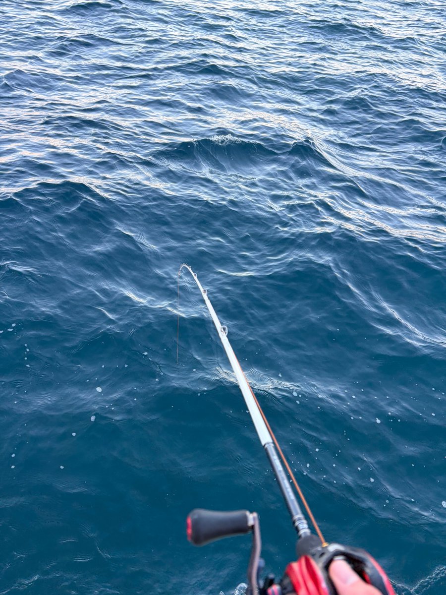 scs17watari's tweet photo. ひさびさにやってます🎣 https://t.co/paT5xR4IG3